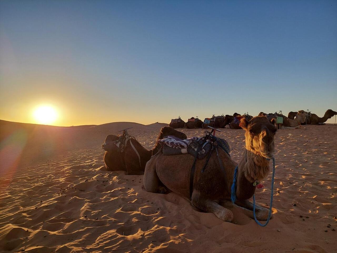 Desert Experience Glamping Hotel Merzouga Eksteriør billede